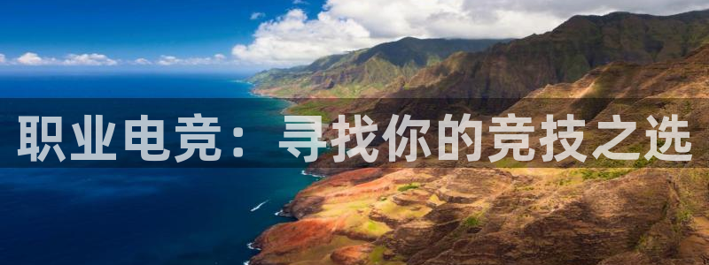 安博电竞官方网站入口下载：职业电竞：寻找你的竞技之选