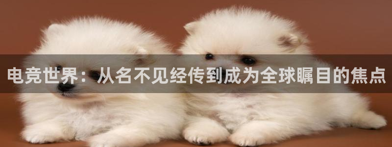 安博电竞提现要求多久到账：电竞世界：从名不见经传到成为全球瞩目的焦点