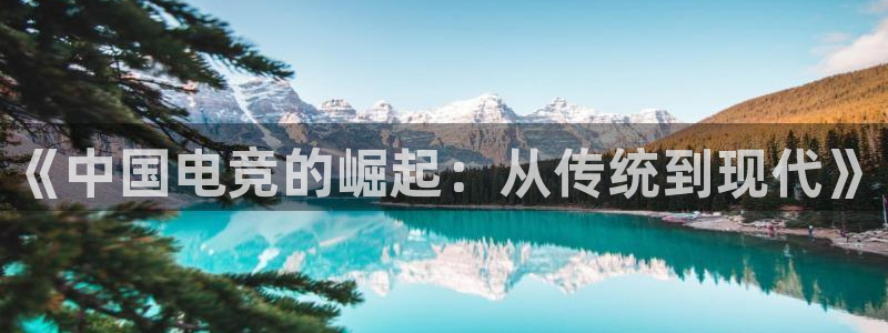 安博电竞链接：《中国电竞的崛起：从传统到现代》