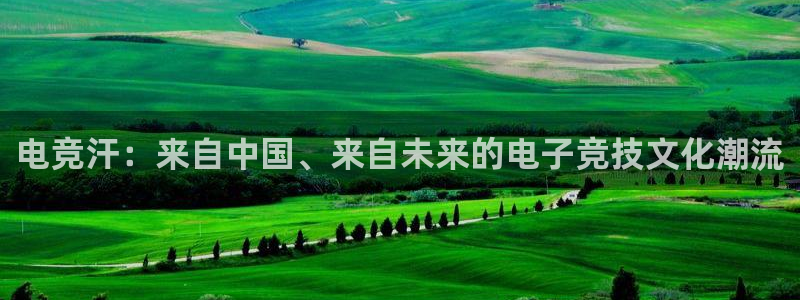 安博电竞官网登录入口：电竞汗：来自中国、来自未来的电子竞技文化潮流