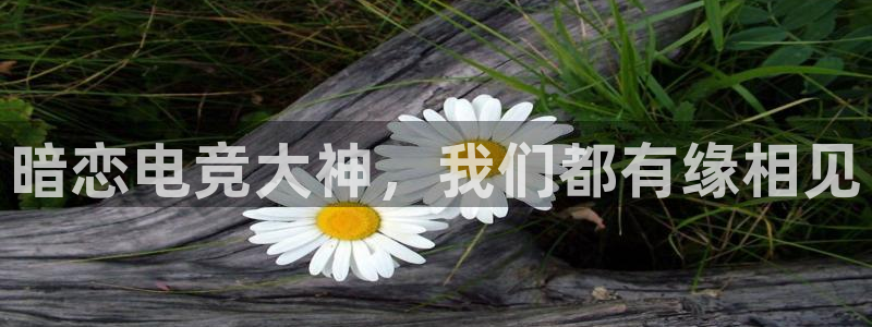 安博电竞app官网下载：暗恋电竞大神，我们都有缘相见